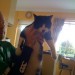 Black and white cat lost in Grange