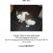 Found female cat in Carrigtwohill