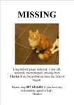Missing in Cloyne
