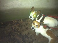 male and female jrts found on grand parade Cork city