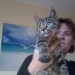 found kitten tabby in the city approx 4 months old