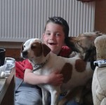 2 dogs(male and female) fox terrier x and collie x lost in ballinhassig area