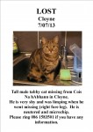 Male tabby cat missing in Cloyne