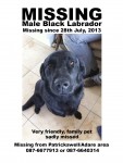Male Black Labrador lost in Patrickswell, Co.Limerick