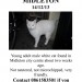 White male cat found in Midleton