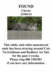 Tabby and white cat found in Cloyne