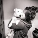 Lost dog in Aherla cork  white  terrier