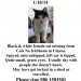 Black & white cat missing in Cloyne