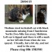 Tortie Cat missing from Midleton