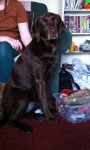 Missing lab x pointer from Boreenamanna road