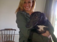 lost black whippet/greyhound near tulla co clare