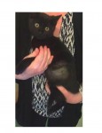 Kitten found in Mallow