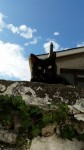 Found cat – black female, Cork City, Gillabbey area