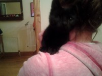 Black kitten with one eye