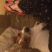 Female jack Russell lost in ballincollig