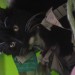 Black kitten, found in Carrigaline.