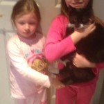 Cat lost Ballincollig