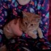 Marmalade Kitten Found Ballincollig