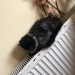 Male Smokey black Persian cat lost in mallow