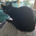 Missing Black cat Caherdavin Limerick