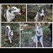 img-20250404-wa0003